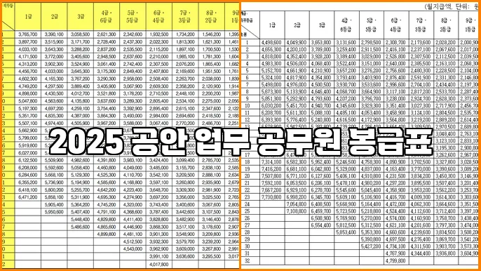 2025 공안 업무 공무원 봉급표
