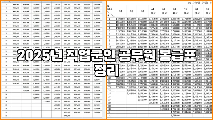 2025년 직업군인 공무원 봉급표 정리