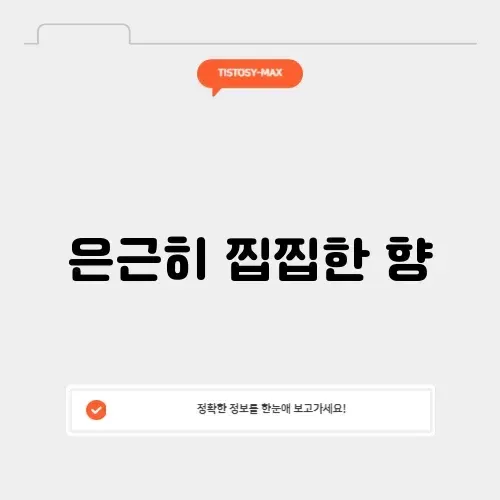 자동차 송풍 냄새 자동차 송풍 냄새