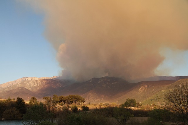 화재보험비교사이트 관련 이미지 1