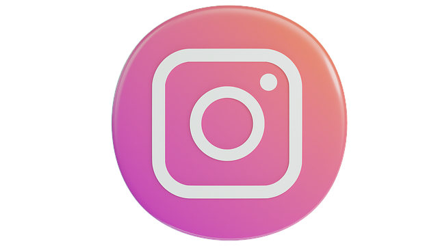 손테일 인스타 관련 이미지 1