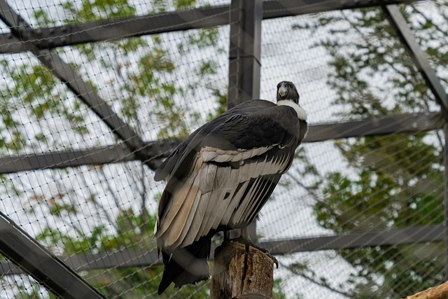 과천 8체질 한의원 관련 이미지 3