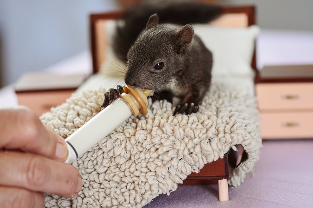 산업간호사 찐빵 관련 이미지 2