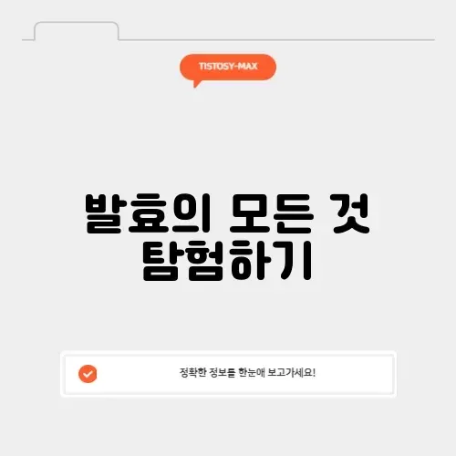 지평 발효축제 2025 지평 발효축제 2025