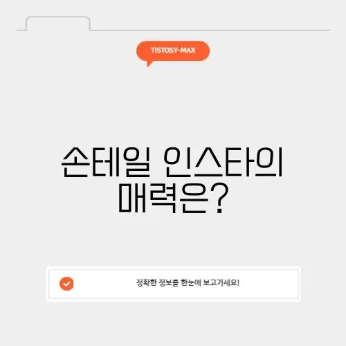 손테일 인스타 썸네일
