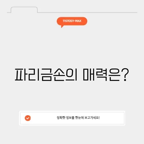 파리금손 인스타