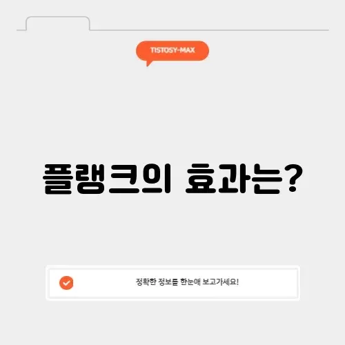플랭크 시간