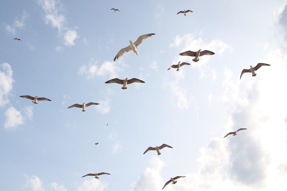 블로그 체험단 신청 꿀팁 알아보자