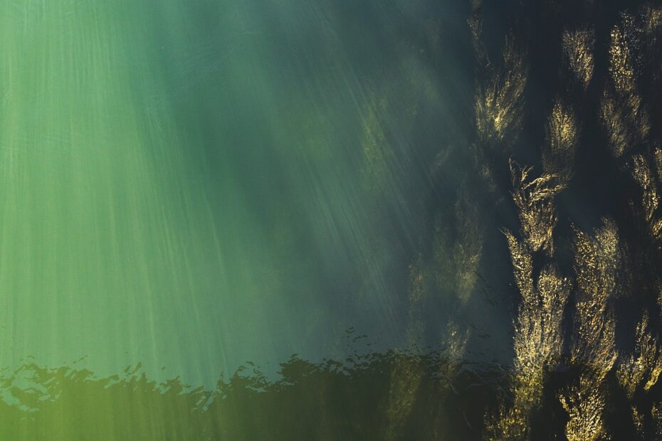 세계 3대 커피의 특징과 즐기는 방법 알아보자