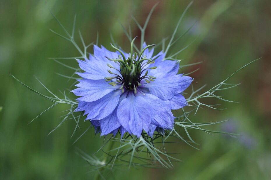 포스터 디자인의 5가지 꿀팁
